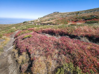 Bulgaristan 'ın Cherni Vrah zirvesi yakınlarındaki Vitosha Dağı' nın şaşırtıcı sonbahar manzarası