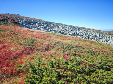 Bulgaristan 'ın Cherni Vrah zirvesi yakınlarındaki Vitosha Dağı' nın şaşırtıcı sonbahar manzarası
