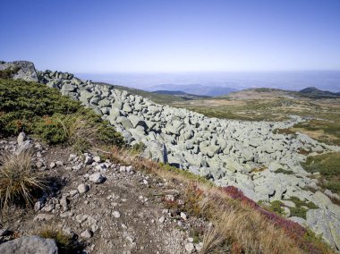 Bulgaristan 'ın Cherni Vrah zirvesi yakınlarındaki Vitosha Dağı' nın şaşırtıcı sonbahar manzarası