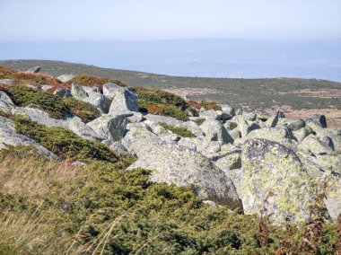 Bulgaristan 'ın Cherni Vrah zirvesi yakınlarındaki Vitosha Dağı' nın şaşırtıcı sonbahar manzarası