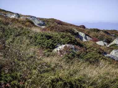 Bulgaristan 'ın Cherni Vrah zirvesi yakınlarındaki Vitosha Dağı' nın şaşırtıcı sonbahar manzarası