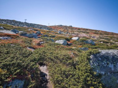 Bulgaristan 'ın Cherni Vrah zirvesi yakınlarındaki Vitosha Dağı' nın şaşırtıcı sonbahar manzarası