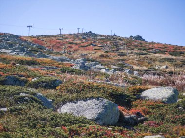 Bulgaristan 'ın Cherni Vrah zirvesi yakınlarındaki Vitosha Dağı' nın şaşırtıcı sonbahar manzarası