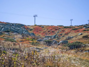Bulgaristan 'ın Cherni Vrah zirvesi yakınlarındaki Vitosha Dağı' nın şaşırtıcı sonbahar manzarası