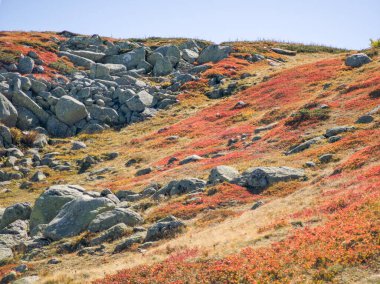 Bulgaristan 'ın Cherni Vrah zirvesi yakınlarındaki Vitosha Dağı' nın şaşırtıcı sonbahar manzarası