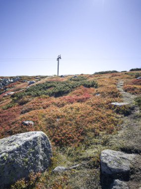 Bulgaristan 'ın Cherni Vrah zirvesi yakınlarındaki Vitosha Dağı' nın şaşırtıcı sonbahar manzarası