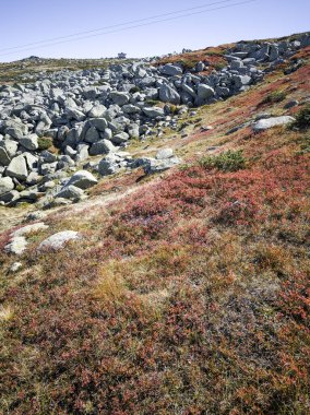 Bulgaristan 'ın Cherni Vrah zirvesi yakınlarındaki Vitosha Dağı' nın şaşırtıcı sonbahar manzarası