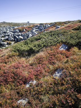 Bulgaristan 'ın Cherni Vrah zirvesi yakınlarındaki Vitosha Dağı' nın şaşırtıcı sonbahar manzarası