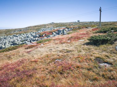 Bulgaristan 'ın Cherni Vrah zirvesi yakınlarındaki Vitosha Dağı' nın şaşırtıcı sonbahar manzarası