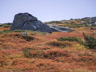 Bulgaristan 'ın Cherni Vrah zirvesi yakınlarındaki Vitosha Dağı' nın şaşırtıcı sonbahar manzarası