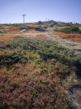 Bulgaristan 'ın Cherni Vrah zirvesi yakınlarındaki Vitosha Dağı' nın şaşırtıcı sonbahar manzarası