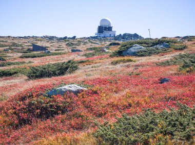 Bulgaristan 'ın Cherni Vrah zirvesi yakınlarındaki Vitosha Dağı' nın şaşırtıcı sonbahar manzarası