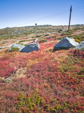 Bulgaristan 'ın Cherni Vrah zirvesi yakınlarındaki Vitosha Dağı' nın şaşırtıcı sonbahar manzarası