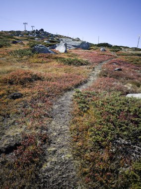 Bulgaristan 'ın Cherni Vrah zirvesi yakınlarındaki Vitosha Dağı' nın şaşırtıcı sonbahar manzarası
