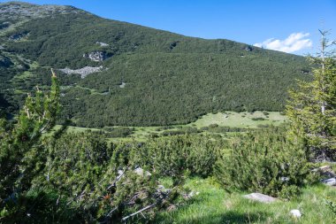 The Dead ve The Fish Lakes, Bulgaristan yakınlarındaki Rila Dağı 'nın İnanılmaz Yaz Manzarası