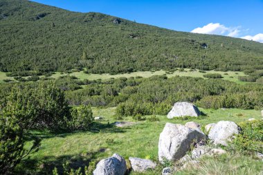 The Dead ve The Fish Lakes, Bulgaristan yakınlarındaki Rila Dağı 'nın İnanılmaz Yaz Manzarası