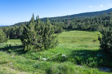 The Dead ve The Fish Lakes, Bulgaristan yakınlarındaki Rila Dağı 'nın İnanılmaz Yaz Manzarası