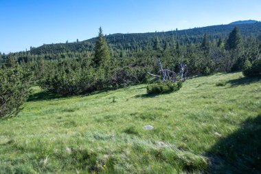 The Dead ve The Fish Lakes, Bulgaristan yakınlarındaki Rila Dağı 'nın İnanılmaz Yaz Manzarası