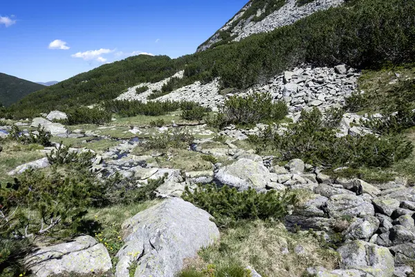 The Dead ve The Fish Lakes, Bulgaristan yakınlarındaki Rila Dağı 'nın İnanılmaz Yaz Manzarası