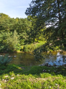 Sırbistan 'ın Dimitrovgrad bölgesindeki Vlaska Dağı' ndaki Jerma Nehri Vadisi 'nin İnanılmaz Yaz Manzarası