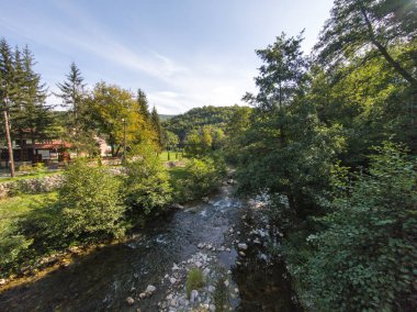 Amazing Summer Landscape of Jerma River Gorge at Vlaska Mountain, Dimitrovgrad region, Serbia clipart