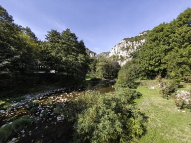 Sırbistan 'ın Dimitrovgrad bölgesindeki Vlaska Dağı' ndaki Jerma Nehri Vadisi 'nin İnanılmaz Yaz Manzarası