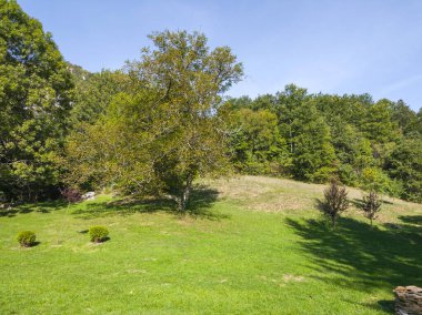 Sırbistan 'ın Dimitrovgrad bölgesindeki Vlaska Dağı' ndaki Jerma Nehri Vadisi 'nin İnanılmaz Yaz Manzarası