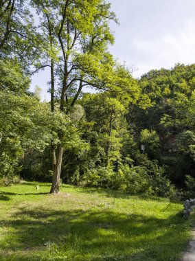 Sırbistan 'ın Dimitrovgrad bölgesindeki Vlaska Dağı' ndaki Jerma Nehri Vadisi 'nin İnanılmaz Yaz Manzarası