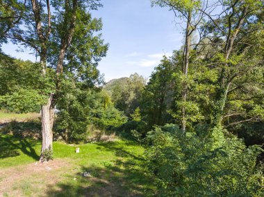 Sırbistan 'ın Dimitrovgrad bölgesindeki Vlaska Dağı' ndaki Jerma Nehri Vadisi 'nin İnanılmaz Yaz Manzarası