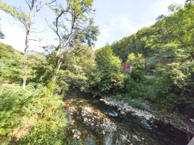 Amazing Summer Landscape of Jerma River Gorge at Vlaska Mountain, Dimitrovgrad region, Serbia clipart