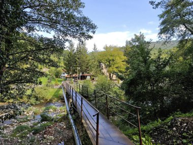 Sırbistan 'ın Dimitrovgrad bölgesindeki Vlaska Dağı' ndaki Jerma Nehri Vadisi 'nin İnanılmaz Yaz Manzarası