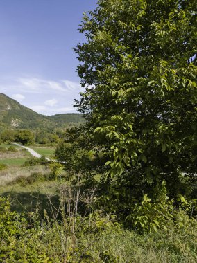 Amazing Summer Landscape of Jerma River Gorge at Vlaska Mountain, Dimitrovgrad region, Serbia clipart