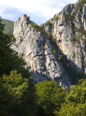 Sırbistan 'ın Dimitrovgrad bölgesindeki Vlaska Dağı' ndaki Jerma Nehri Vadisi 'nin İnanılmaz Yaz Manzarası