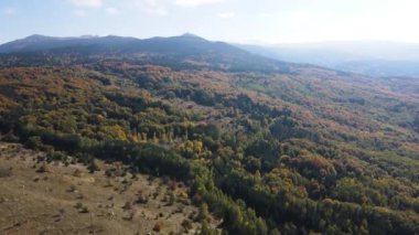Bulgaristan 'ın Vitosha Dağı' nın şaşırtıcı sonbahar manzarası