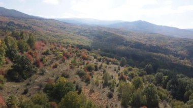 Bulgaristan 'ın Vitosha Dağı' nın şaşırtıcı sonbahar manzarası