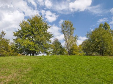 Bulgaristan 'ın Sofya kentindeki South Park' ın şaşırtıcı sonbahar manzarası