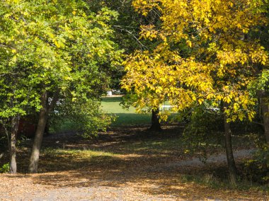 Bulgaristan 'ın Sofya kentindeki South Park' ın şaşırtıcı sonbahar manzarası