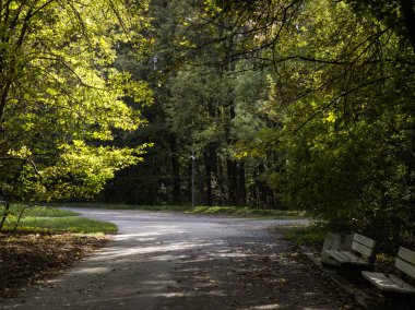 Bulgaristan 'ın Sofya kentindeki South Park' ın şaşırtıcı sonbahar manzarası