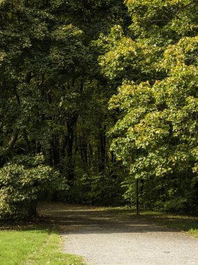 Bulgaristan 'ın Sofya kentindeki South Park' ın şaşırtıcı sonbahar manzarası