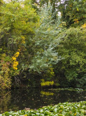 Bulgaristan 'ın Sofya kentindeki South Park' ın şaşırtıcı sonbahar manzarası