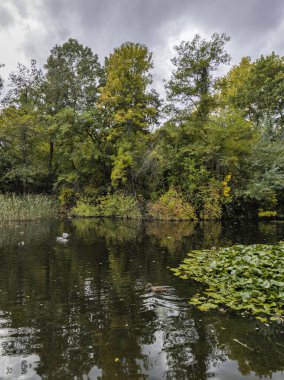 Bulgaristan 'ın Sofya kentindeki South Park' ın şaşırtıcı sonbahar manzarası