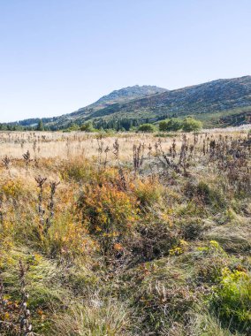 Bulgaristan 'ın Vitosha Dağı' nın şaşırtıcı sonbahar manzarası