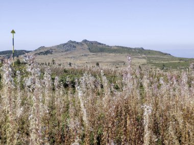 Bulgaristan 'ın Vitosha Dağı' nın şaşırtıcı sonbahar manzarası