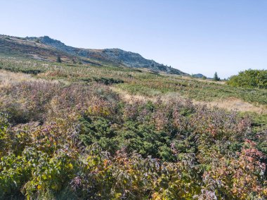 Bulgaristan 'ın Vitosha Dağı' nın şaşırtıcı sonbahar manzarası