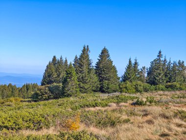 Bulgaristan 'ın Vitosha Dağı' nın şaşırtıcı sonbahar manzarası