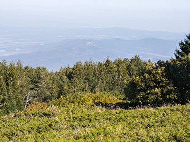 Bulgaristan 'ın Vitosha Dağı' nın şaşırtıcı sonbahar manzarası