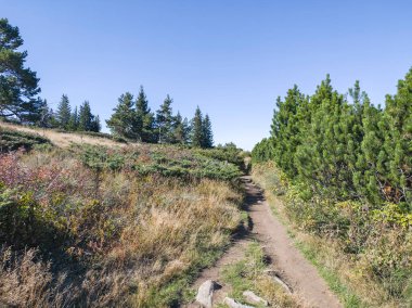 Bulgaristan 'ın Vitosha Dağı' nın şaşırtıcı sonbahar manzarası