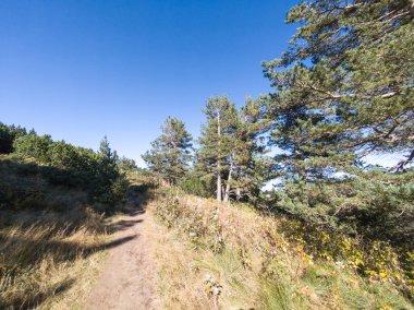 Bulgaristan 'ın Vitosha Dağı' nın şaşırtıcı sonbahar manzarası