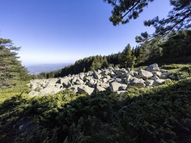 Bulgaristan 'ın Vitosha Dağı' nın şaşırtıcı sonbahar manzarası