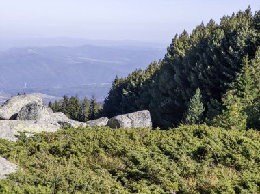 Bulgaristan 'ın Vitosha Dağı' nın şaşırtıcı sonbahar manzarası